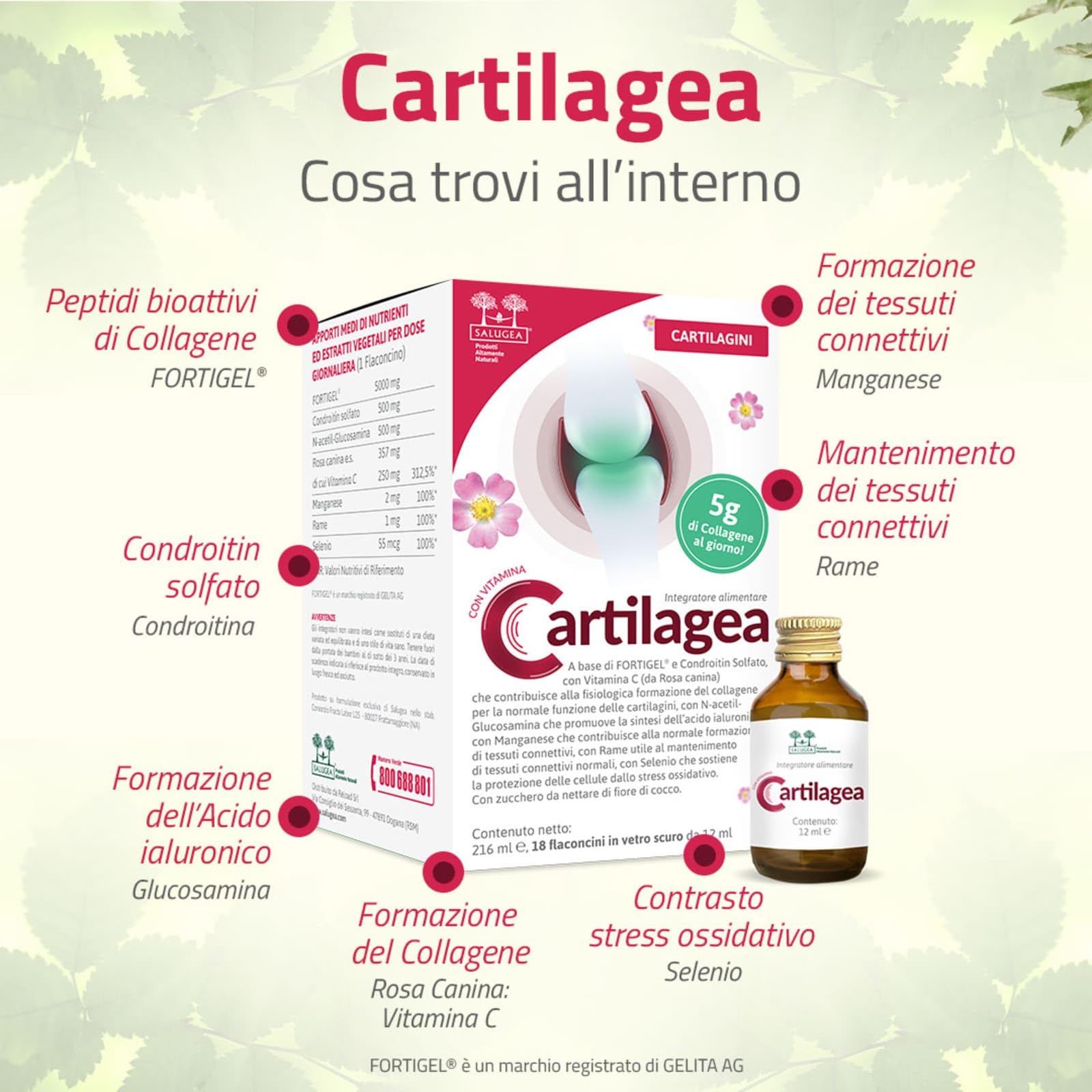 CARTILAGEA Salugea - Integratore 100% Naturale per il Benessere delle Cartilagini - con Collagene idrolizzato, Glucosamina, Condroitina, Rosa Canina (Vit. C), Manganese, Rame e Selenio - 18 flaconcini