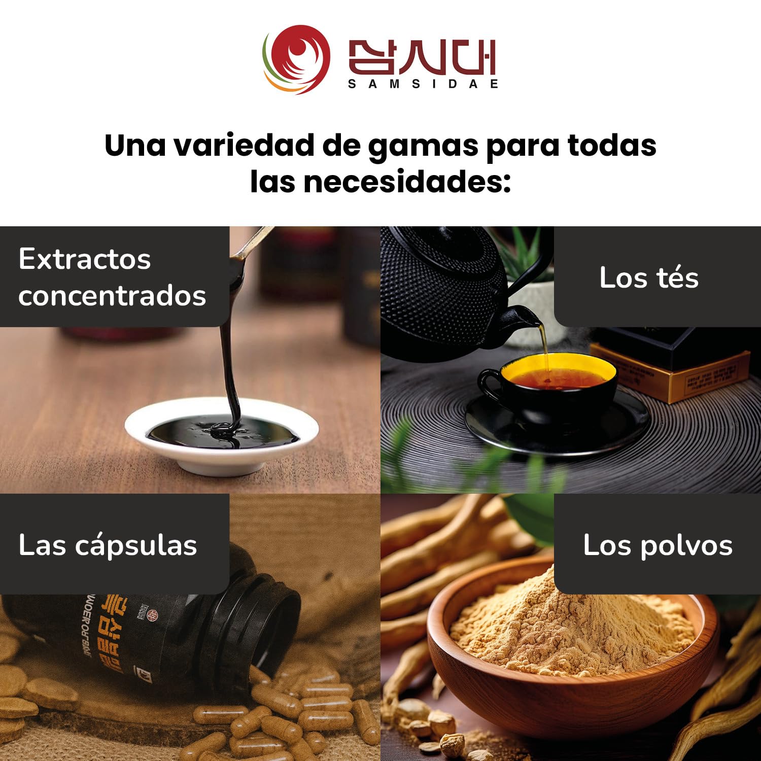 SAMSIDAE - Extracto de Ginseng Negro Coreano, Refuerzo en Ginsenósidos, Saponinas 80 mg/g, Raíces de 4 a 6 Años, 45 Días, 50g