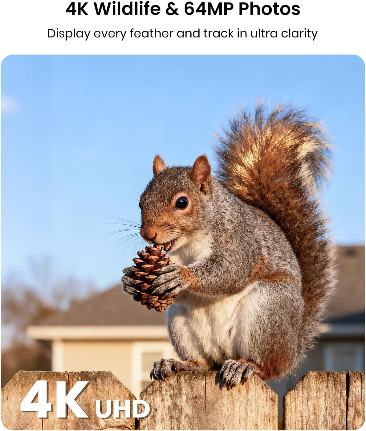 Misstech 4K UHD Solar Trail Camera for Game & Wildlife Monitoring - 0.1s Fast Activation to Record Animals, 64MP/4K Clear Night Vision, No Monthly Fee, App Control, IP66 Waterproof, 32GB SD Card