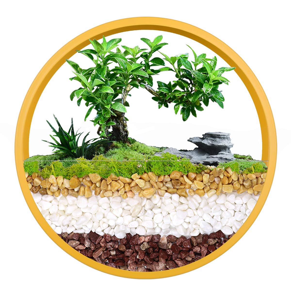 Essenceliving Hanging Wall Planter Hanging Basket Wall Mounted Vase Round Wall Planter Circle Metal Air Plant Succulent Cactus Holder Geometric Wall Planter Vertical Plant Container (Yellow, 12'')