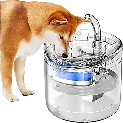Bebedouro Fonte De Água Para Cães e Gatos 2l Automático Com Filtro, dispensador de água silencioso Transparente