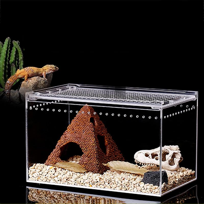 アクリル爬虫類テラリウム 開閉可能な上部を備えた透明な生息地タンク 動物昆虫用のミニエンクロージャーペット給餌ボックス 30 15cm 8oewuegu8x Ottawatamilassociation Ca