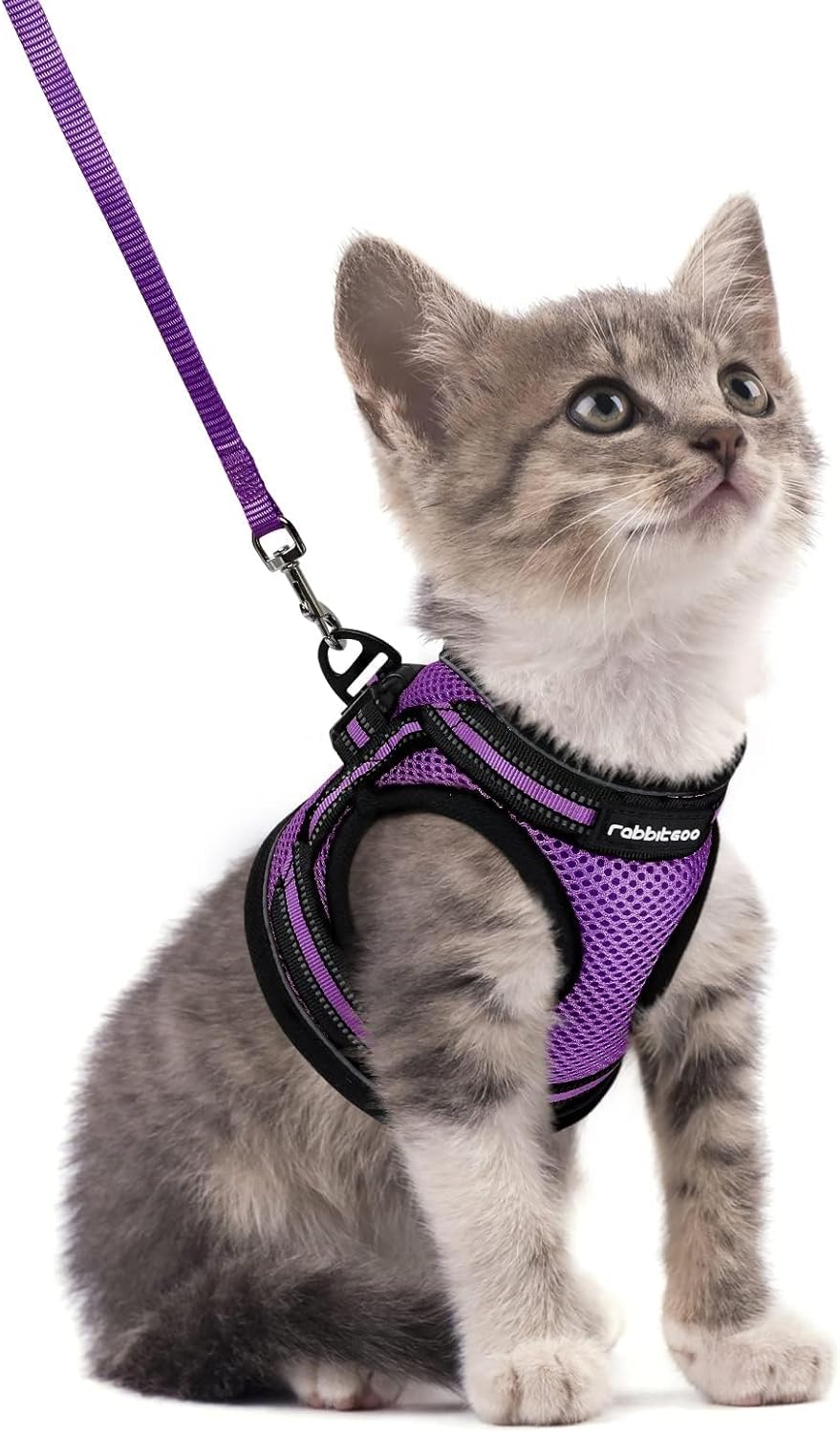rabbitgoo Escape-Proof Cat Harness & Leash Set for Kittens - Adjustable Soft Breathable Vest with Reflective Strips, Purple Small