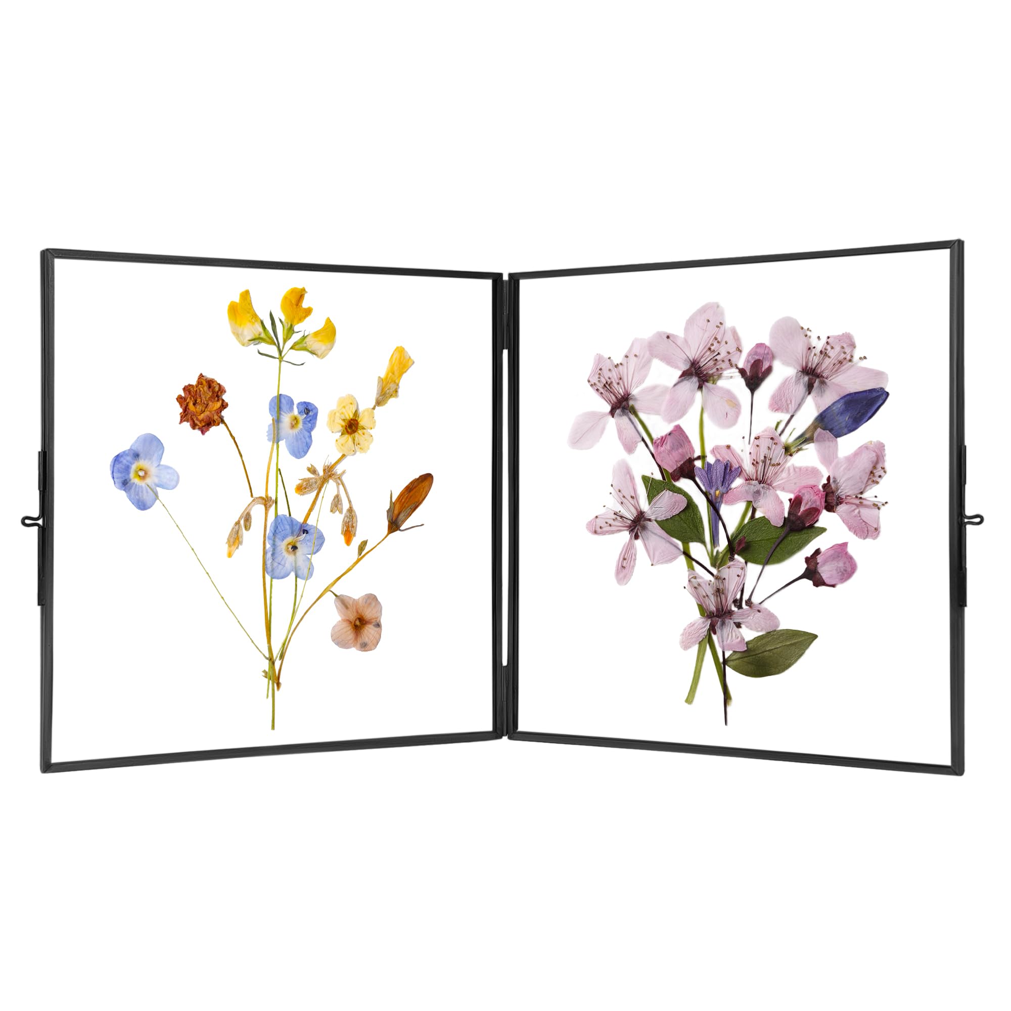 REDHUGOGlass Double Press Flower Frame Square