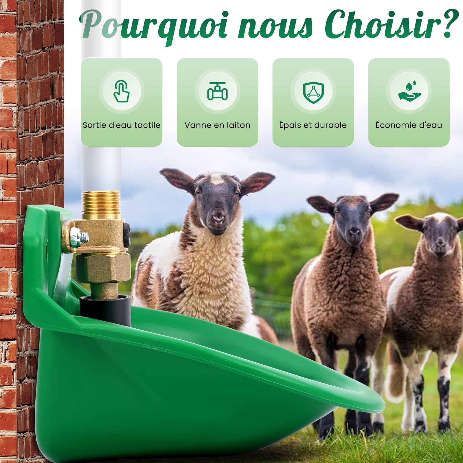 2 pièces Abreuvoir Automatique Pour Moutons, Mangeoires De Bétail Avec Trous De Drainage, Alimentation Automatique En Eau Pour Chevaux, Bovins, Moutons, Cochons Et Chiens, Vertes