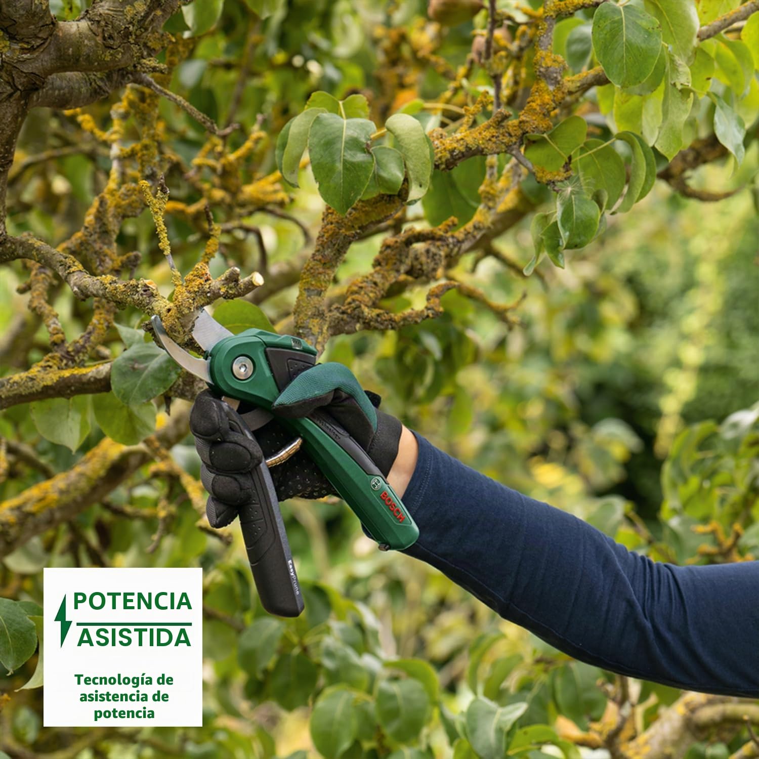 Bosch tijeras de podar a batería EasyPrune (batería de 3,6 V integrada; 450 cortes por recarga; recargable con cable micro USB; en embalaje de cartón)