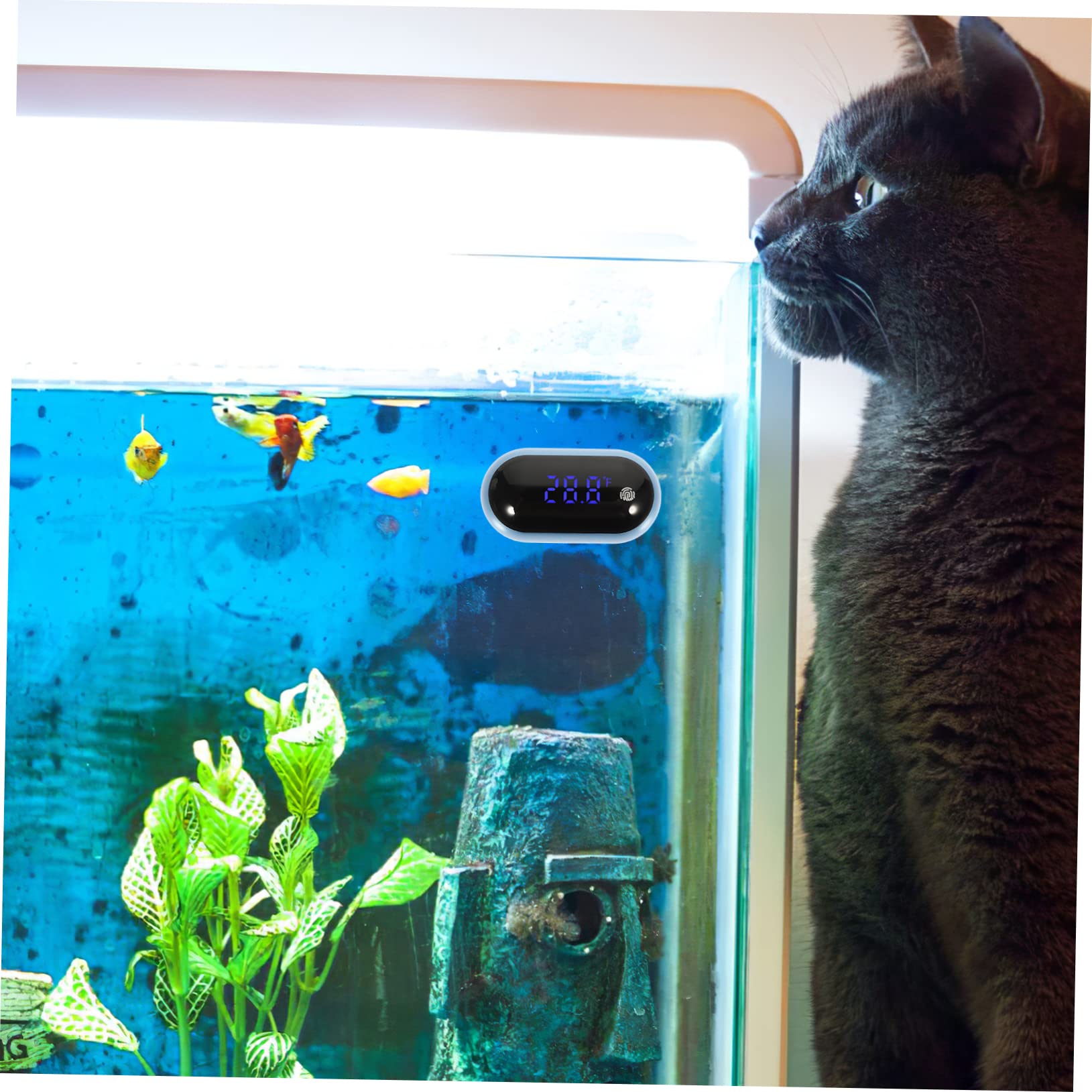BESPORTBLE 3pièces Thermomètre Numérique Portable Pour Aquarium Affichage Led Précision Élevée Pour Réservoirs à Poissons Et Aquariums Facile à Utiliser