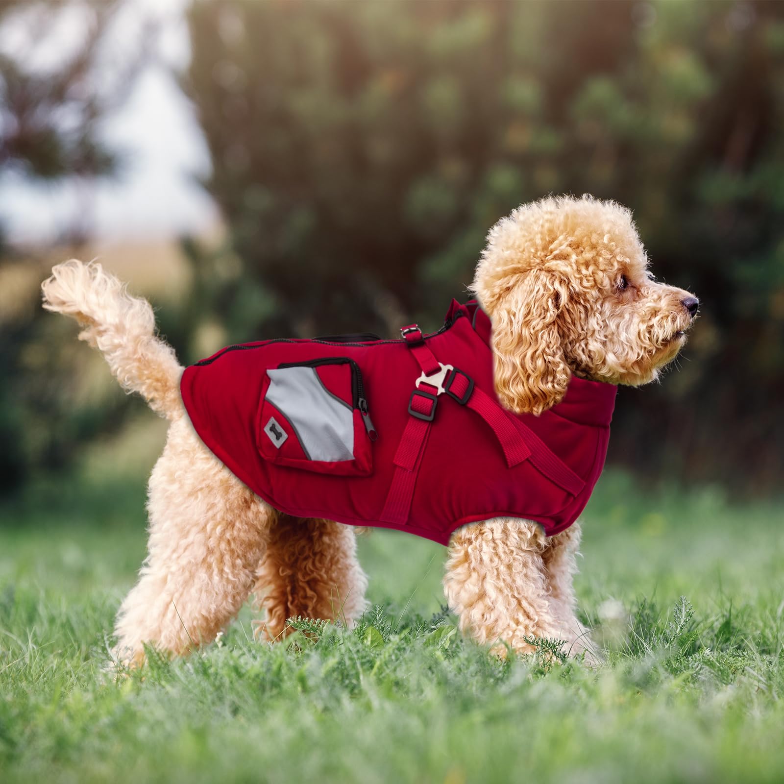 Vestiti per Cani, Cappottino Invernale per Cane di Piccola Taglia con Guinzaglio, Regalo di Cappotto Cane（XL,rosa）