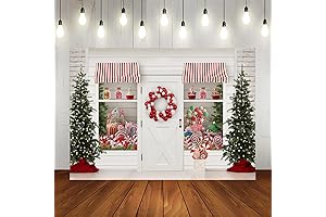 Lofaris Winter Christmas Backdrop for Santa Photo
