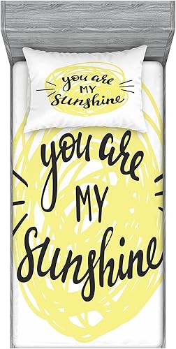 Miniatura 104 de Ambesonne Juego de sábanas bajeras y fundas de almohada, dibujos de aviones antiguos, vuelos clásicos con fechas, estilo vintage, diseño nostálgico,