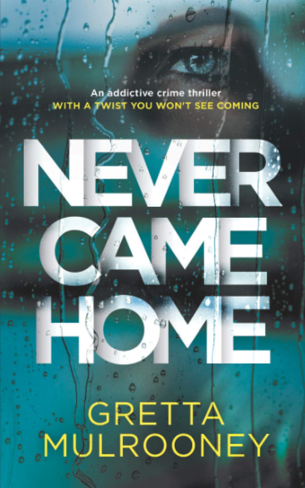 NEVER CAME HOME an addictive crime thriller with a twist you won't see coming (Detective Inspector Siv Drummond Mystery)