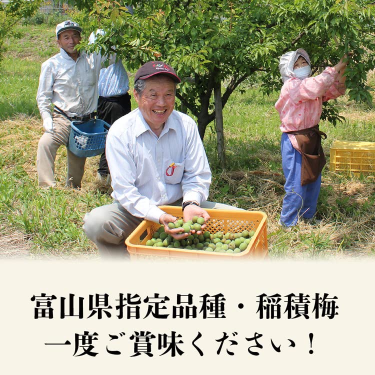 Amazon | 食の達人 梅干し しそ漬け 稲積梅 1kg 富山 氷見 無添加 無