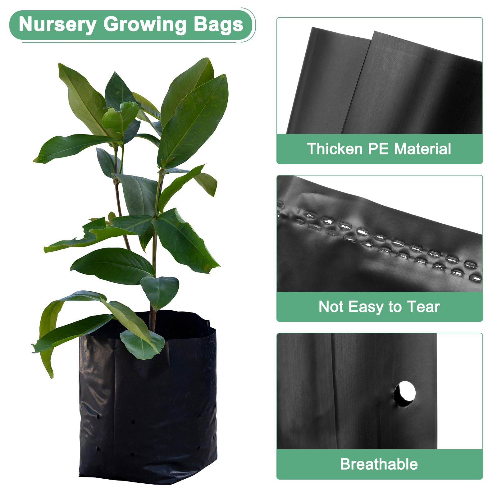 M METERXITY 100-Pack Nursery Growing Bags, 9.4" x 12.2" Thicken Plastic Nursery Bags - Image 2