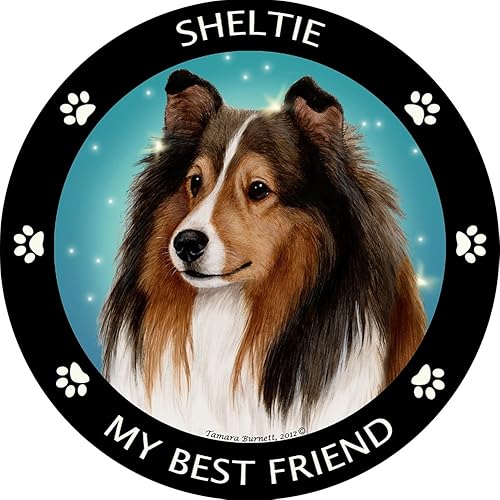 Shetland Sheep Dog My Best Friend - Imán