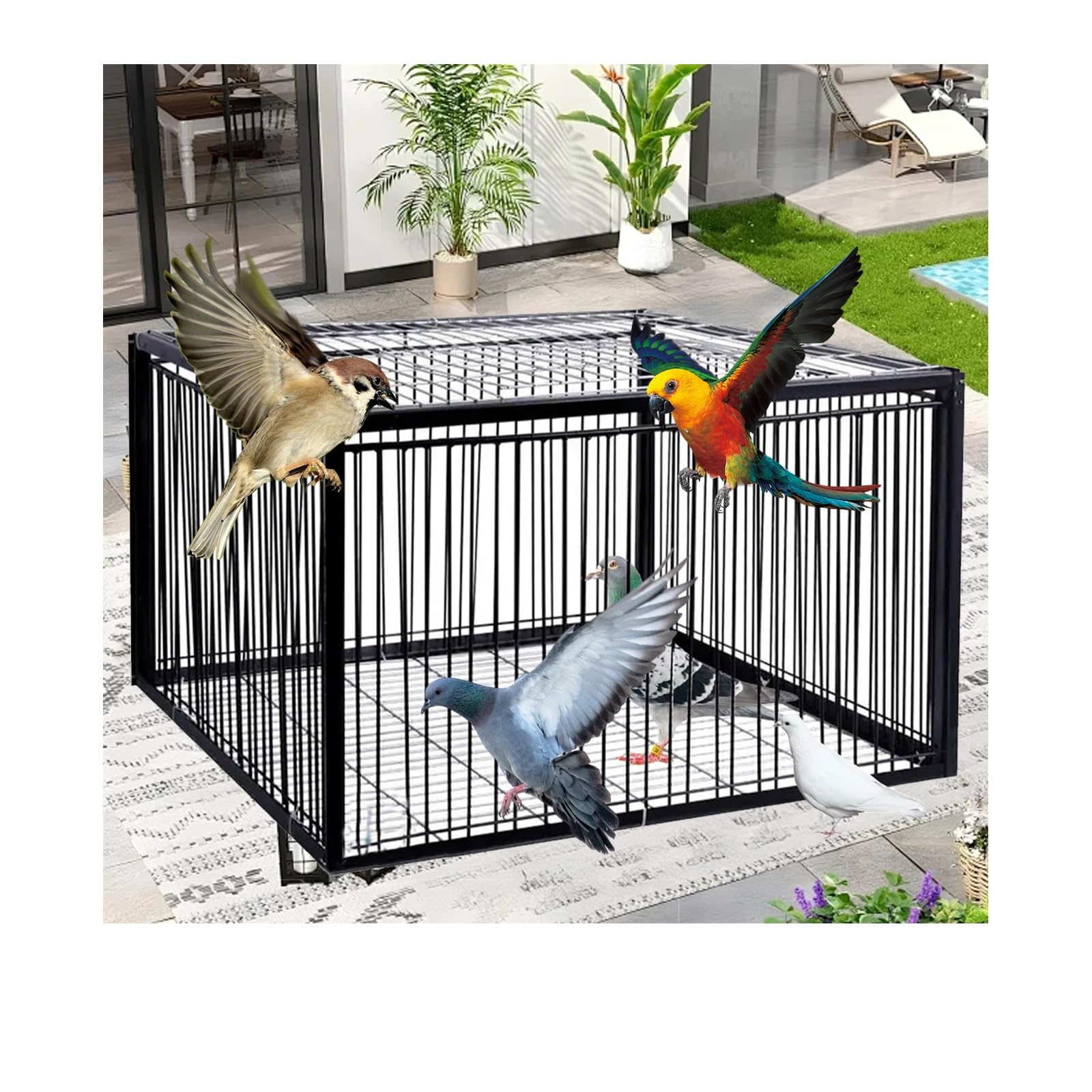 Jaula for Palomas Unidireccional Jaula Trampa for Jaula for Palomas, Trampa for pájaros, Jaula con Entrada unidireccional de Cuatro Canales(Black,60 * 40cm)