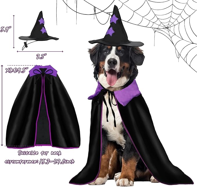 Disfraz de Bruja para Perro Halloween con Capa y Sombrero miniatura 4