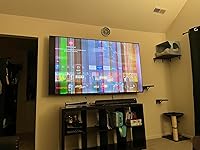 Review Image by Sasha Sasha