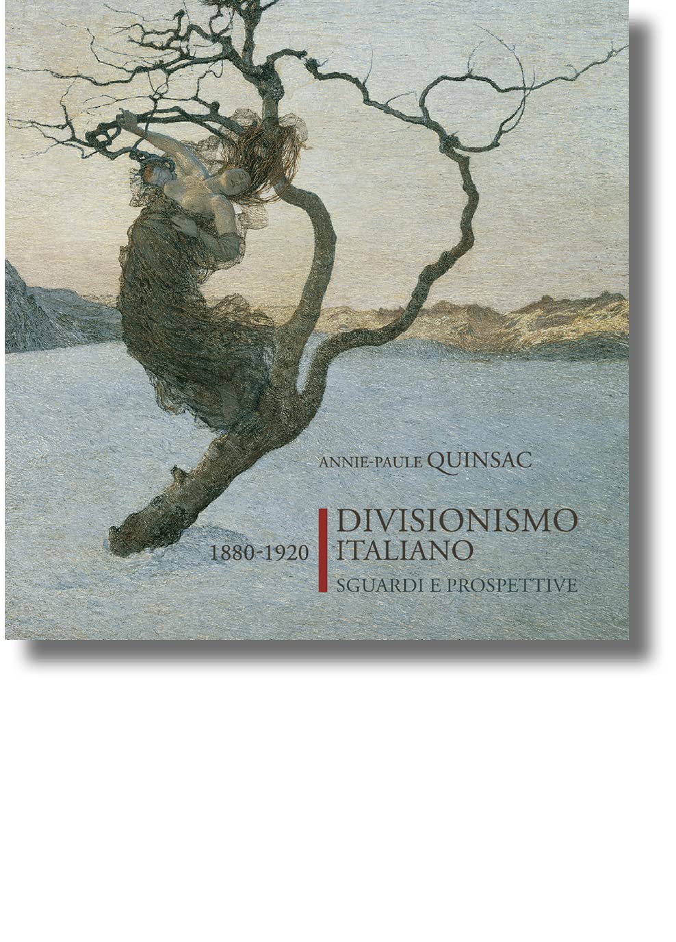 Divisionismo italiano 1880-1920 beaux livres Vol 1-2 pour décorer votre bibliothèque