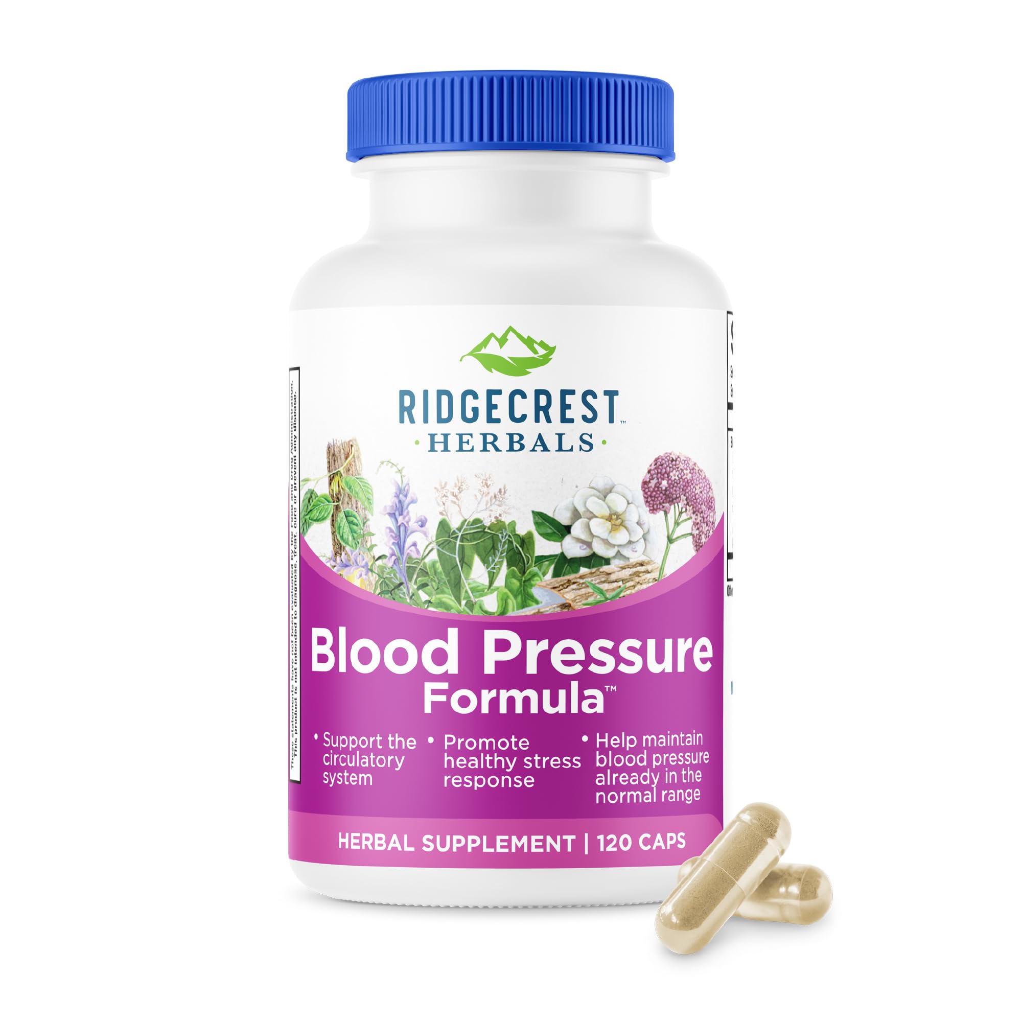 Ridgecrest Herbals - Blood Pressure Formula 120 Vegan Caps 126515