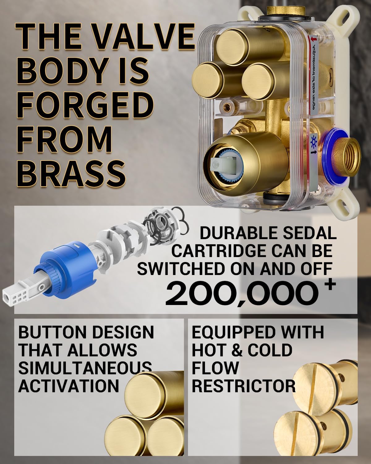 Detailed view of the shower valve body, Sedal ceramic cartridge, and button diverter mechanism.