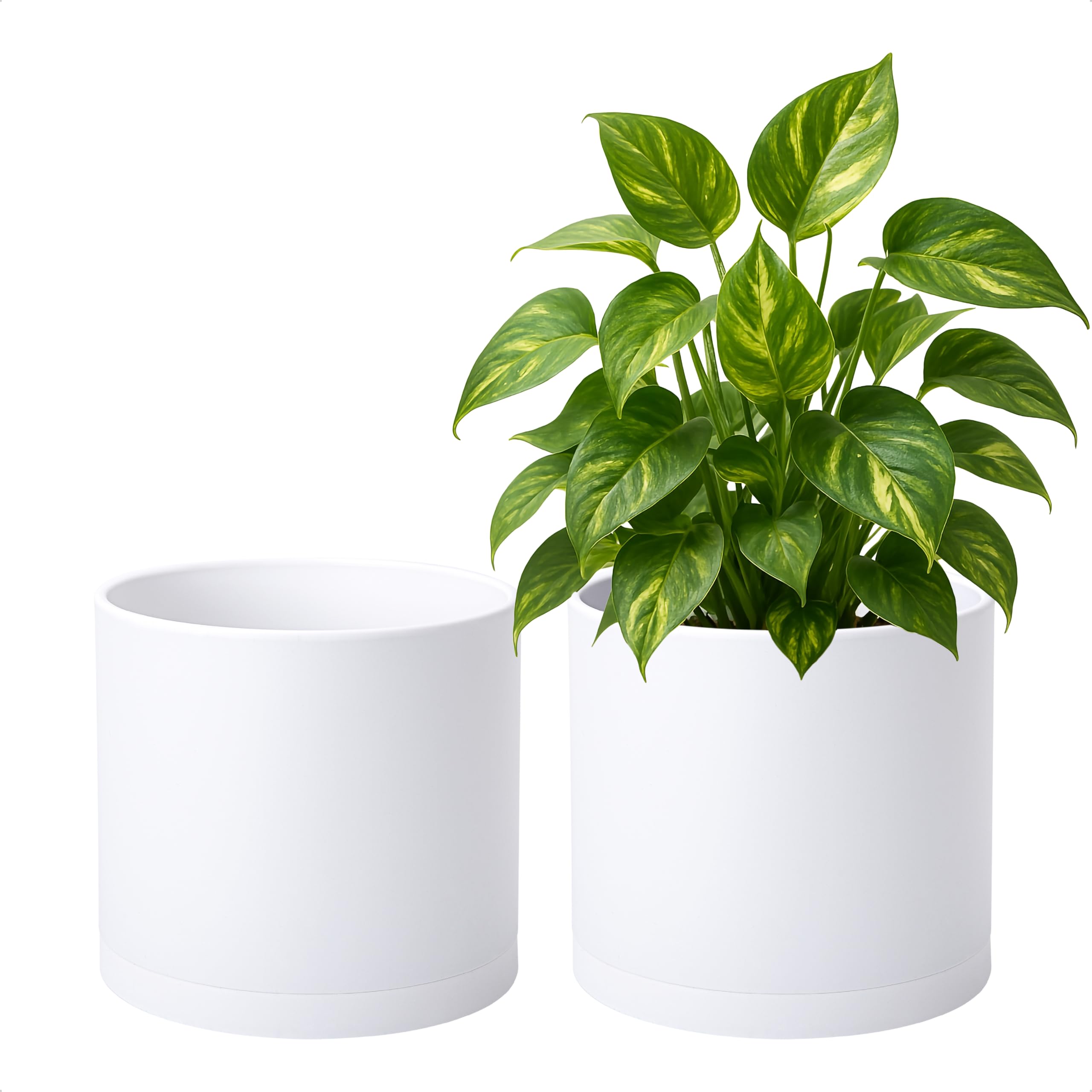 D'vine Dev 2 Pack 8 Inch Plant Pots