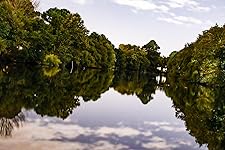 Review Image by Frank Escamilla Frank Escamilla