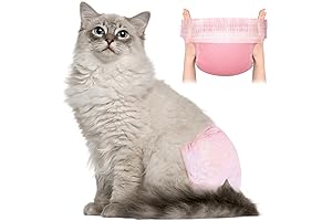 Cat Diapers: The Ultimate Solution for Cat Incontinence