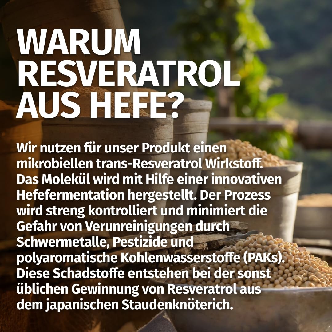 Green Naturals® Trans Resveratrol 500mg - 120 Kapseln - Reinheit: >98% Trans-Resveratrol - Deutsche Herstellung - 100% Vegan & Ohne Zusätze - Vorrat für 4 Monate