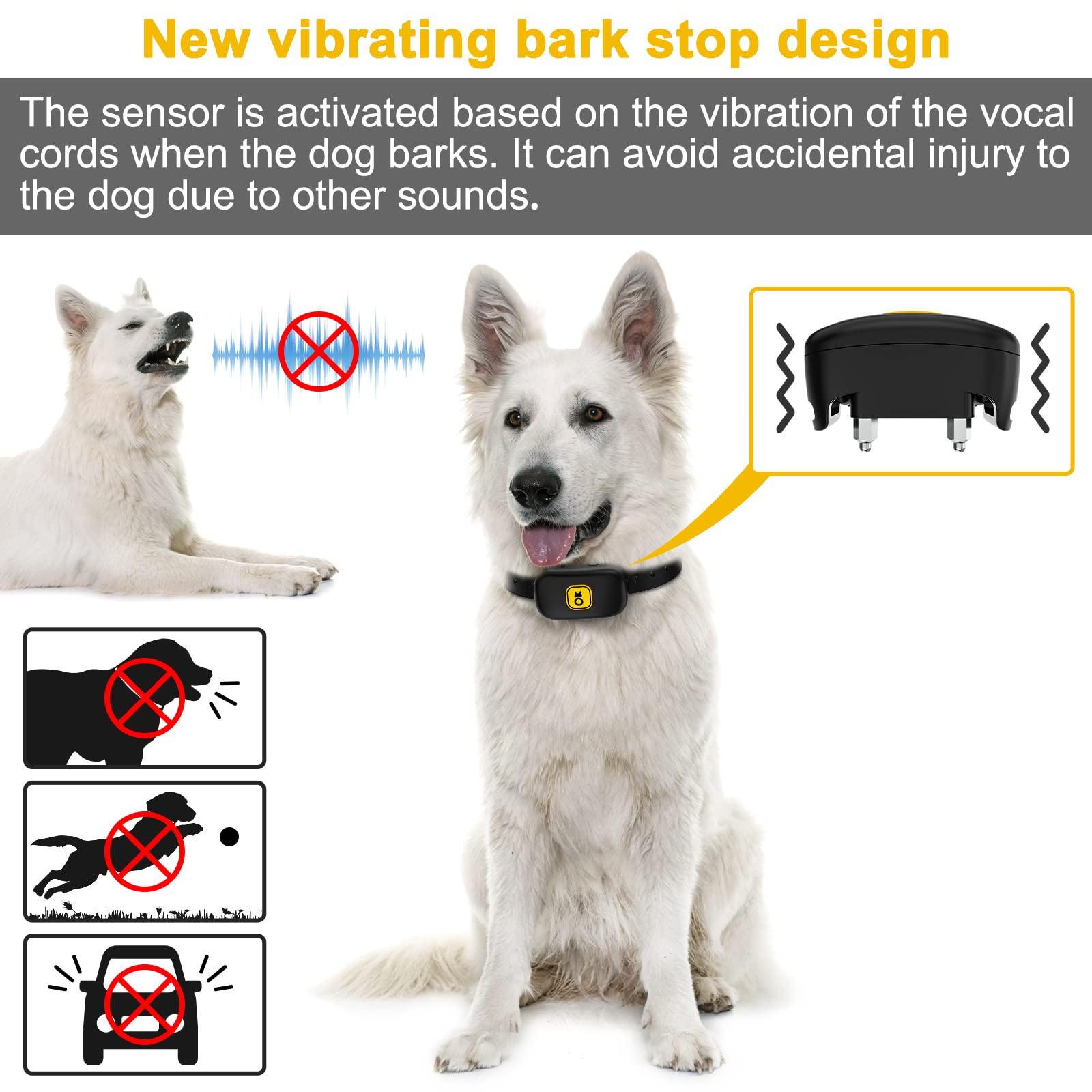 Can A Dog Hurt Their Vocal Cords