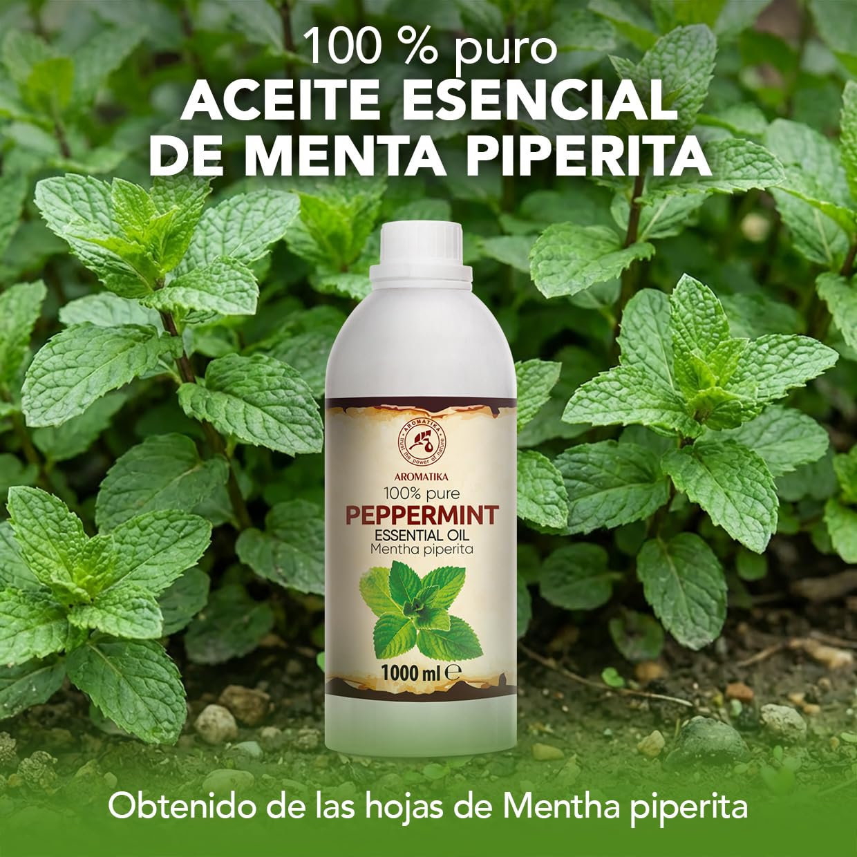 Aceite Esencial de Menta Piperita 1000 ml - para Difusores y Aromaterapia | Jabones y velas; aroma a menta; uso para lámparas aromáticas y difusores; fragancias para el hogar; ambiente aromático