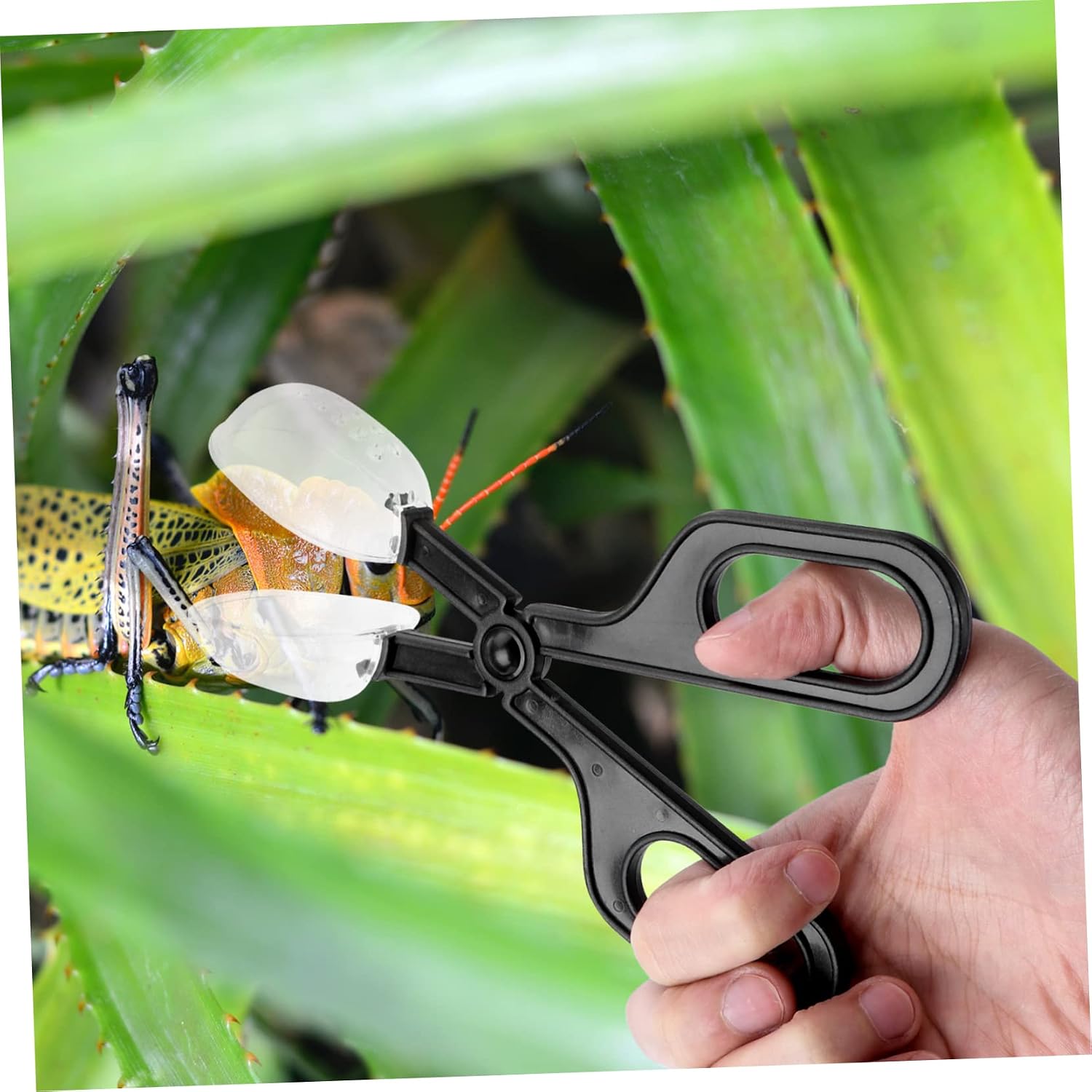 Kisangel 3Pcs Reptile Feeding Clip Flexible Insect Feeding Cleaning Tool for Crickets for Lizard Reptile Care