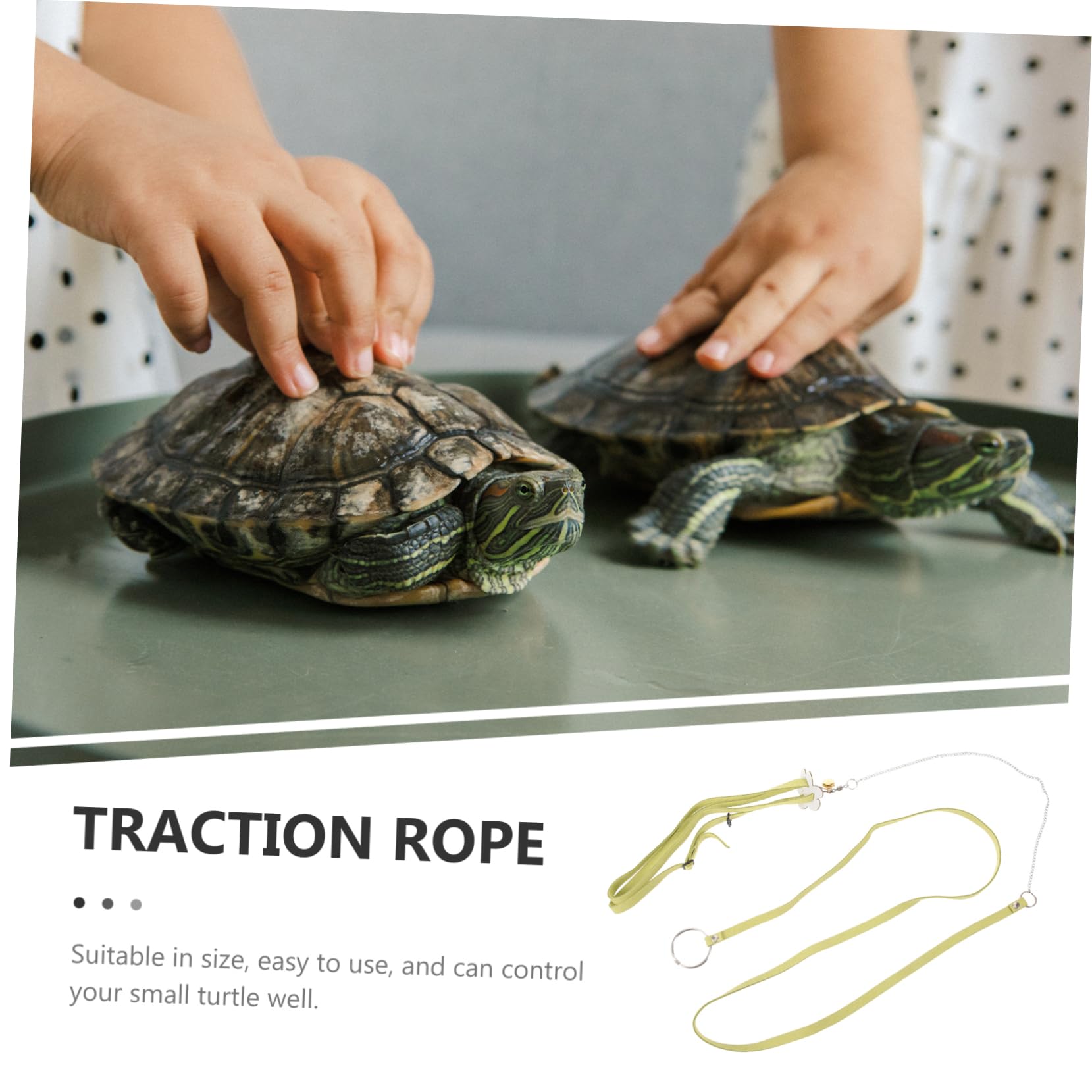 Balacoo Portable Turtle Harness Leash Walking Rope for Tortoise Easy to Adjust Size