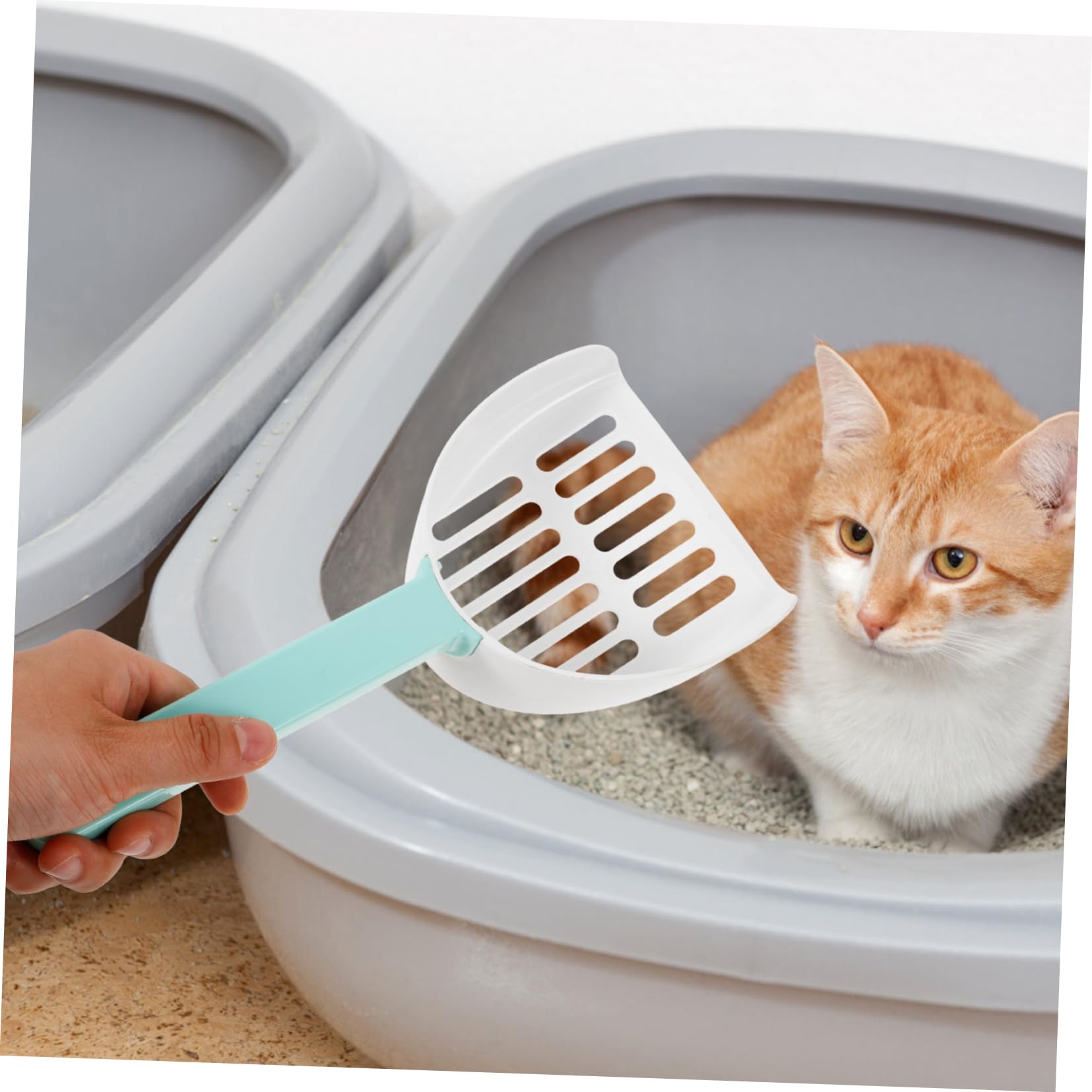 YARNOW 5 Pièces Pelle À pour Chat Animal Chaton Pooper Lifter Tamisage Pelle À Pelle À Filtre Caca Tamisage Pelle À pour Chat Pelle pour Chat