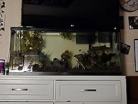 Review Image by Hailey Serrano Hailey Serrano