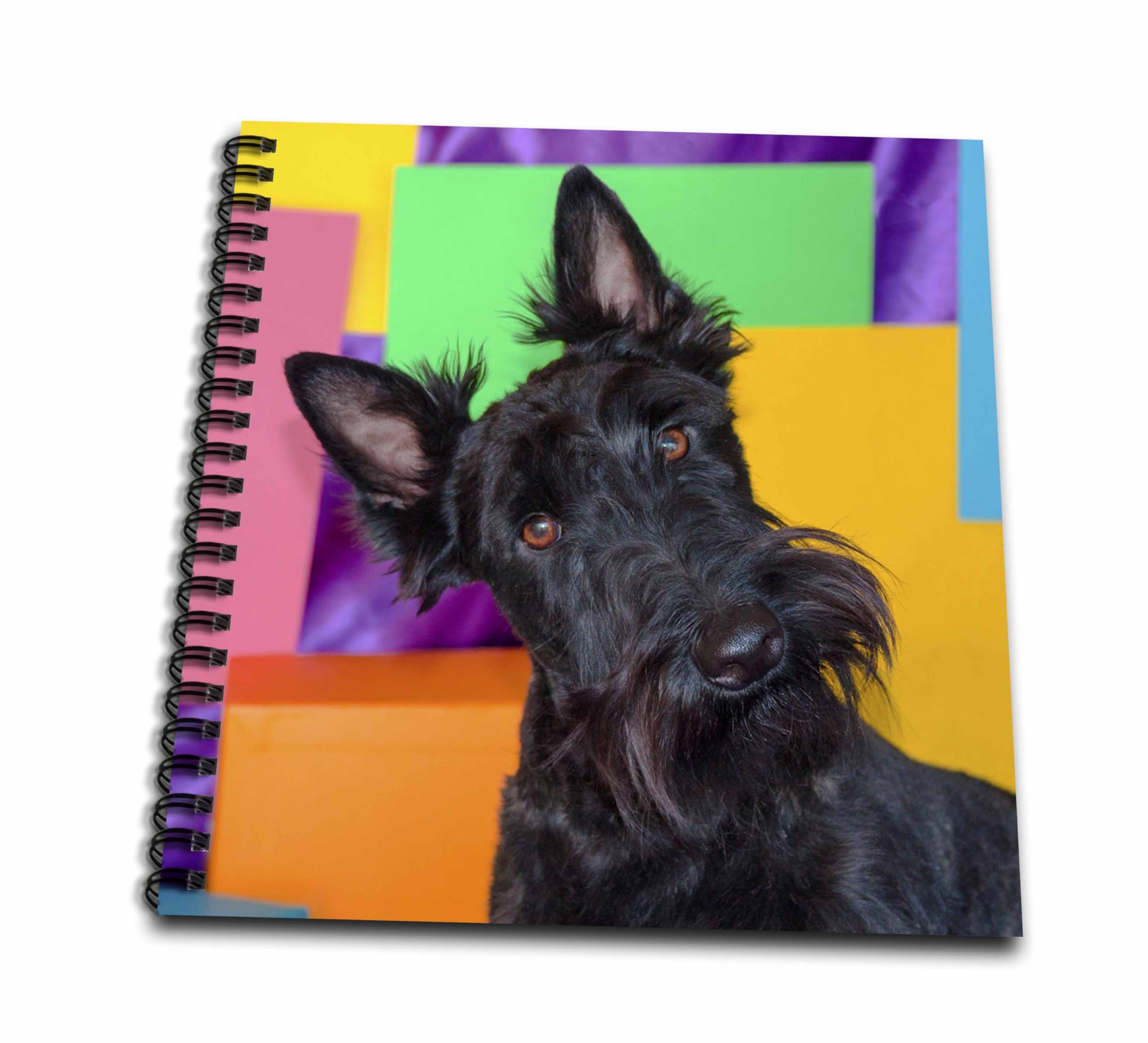 Cahier de croquis à spirale écossais terrier pages blanches portrait d'art