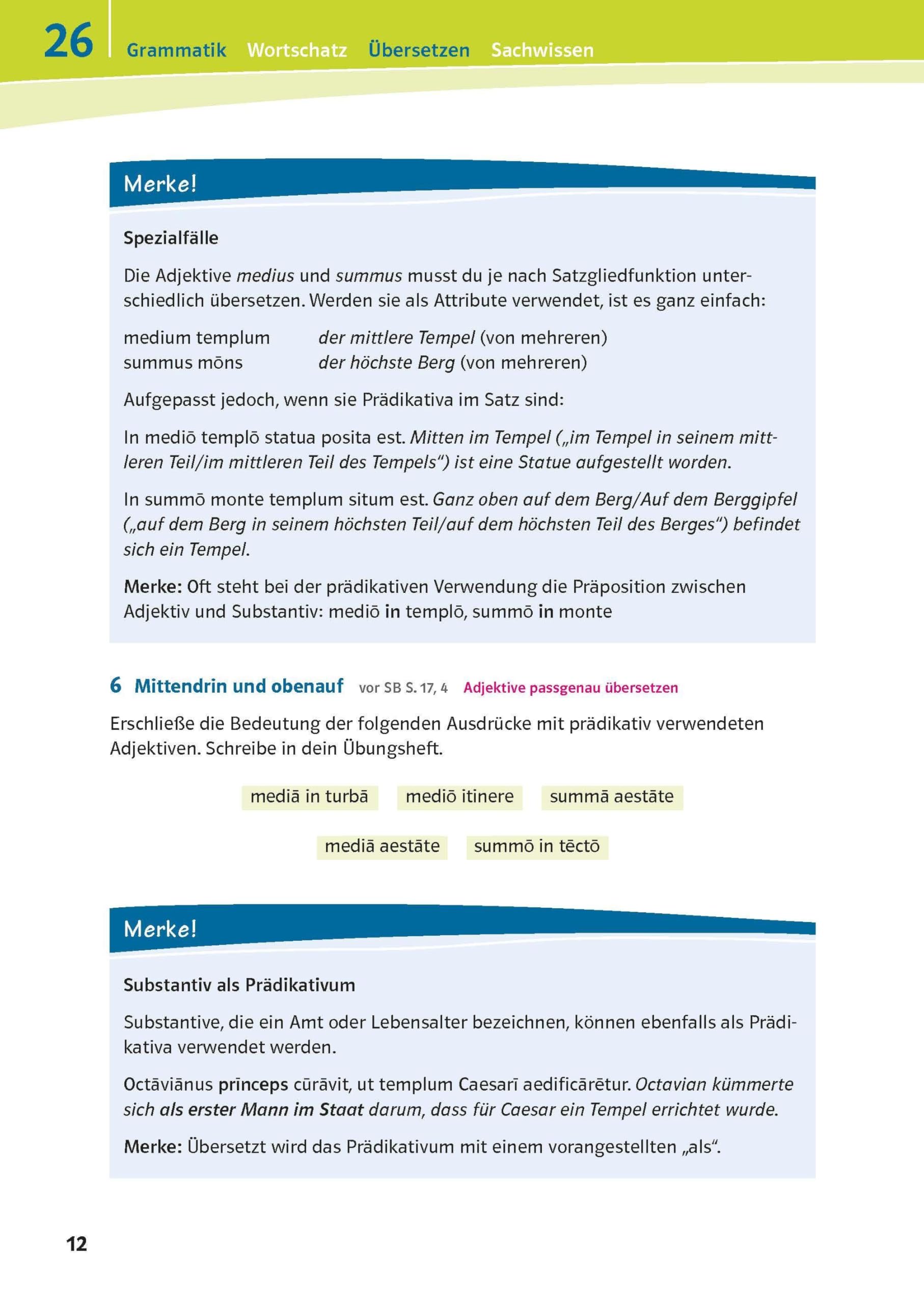Pontes 3: Das Trainingsbuch zum Schulbuch (Pontes. Ausgabe ab 2014)