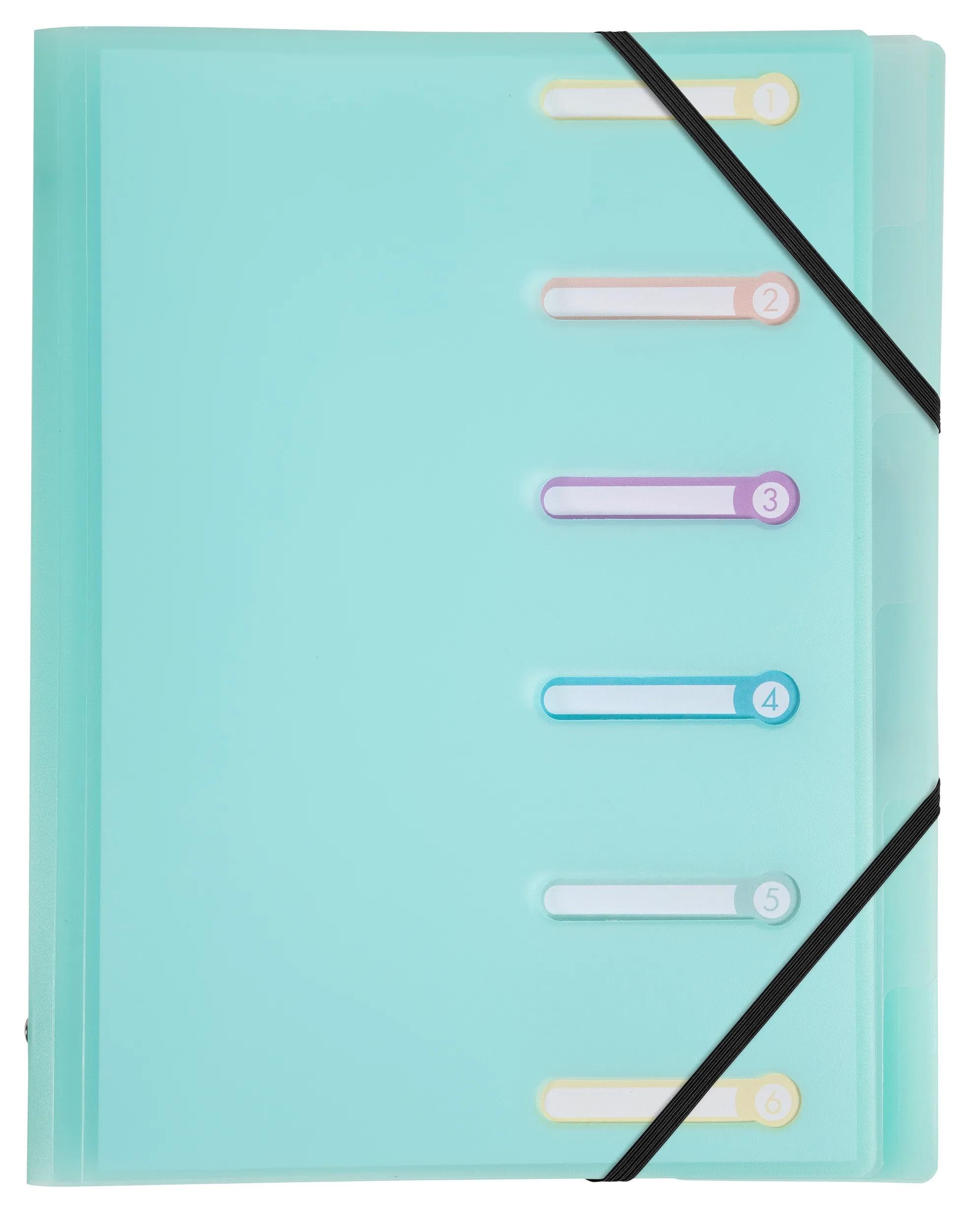 Exacompta - Réf 56170E - Carton de 10 trieurs Chromaline Pastel - 3 rabats - avec élastiques et fenêtres découpées - couverture et intérieur en PP - 6 compartiments - dim 25x32cm - pour A4 - assorties