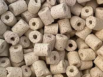 71lBEpGW-aL._AC_UF350,