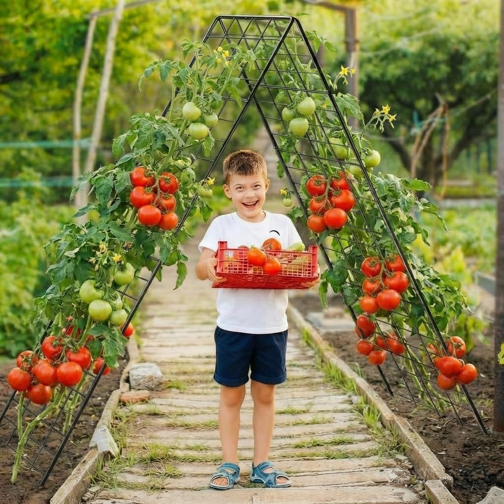 Rankgitter für Tomaten & Gurken, 2 Stück 100cm-Metall Pflanzenständer Rankhilfe Set, A-Form Gitterspalier für Kletterpflanzen, Gemüse & Obst