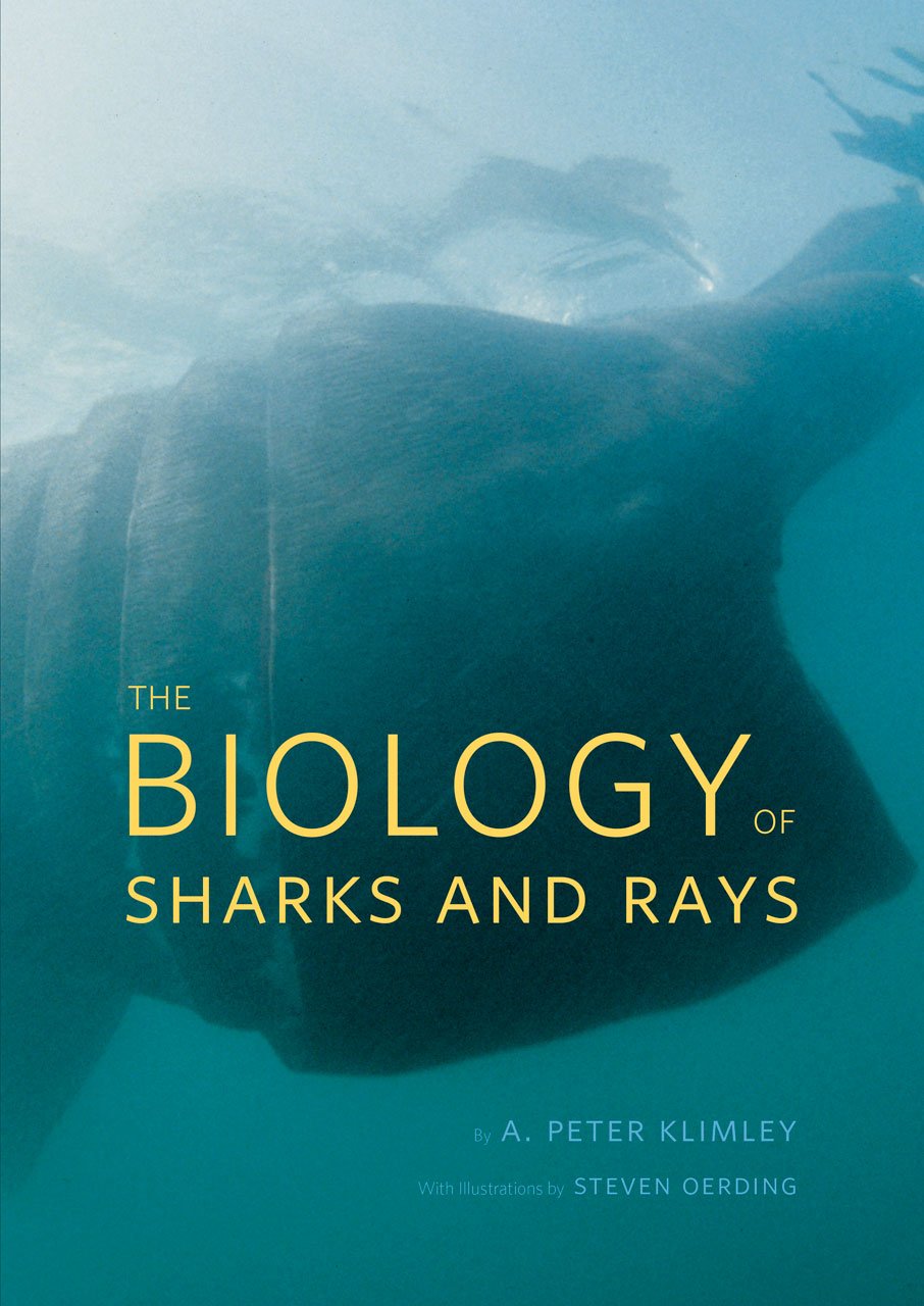 The Biology of Sharks and Rays by A. Peter Klimley (Hardback Book)