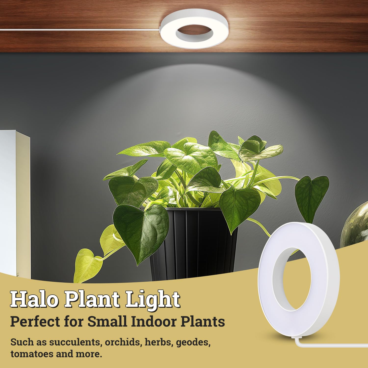 Luces de cultivo de techo para plantas de interior, 192 LED de espectro completo halo de luz LED para plantas, con interruptor de temporizador automático de 3/9/12 horas, 3 modos de luz, 10