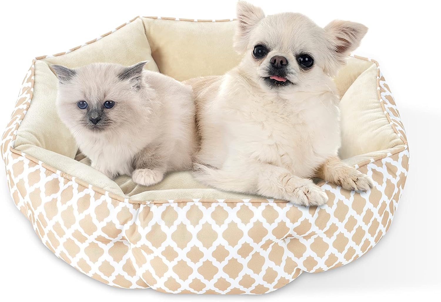 JOYO Cat Bed for Indoor Cat, 25 inch Cat Bed Machine Washable with Waterproof Non-Slip Bottom, Double Side Kitten Plush Cushion Bed for…