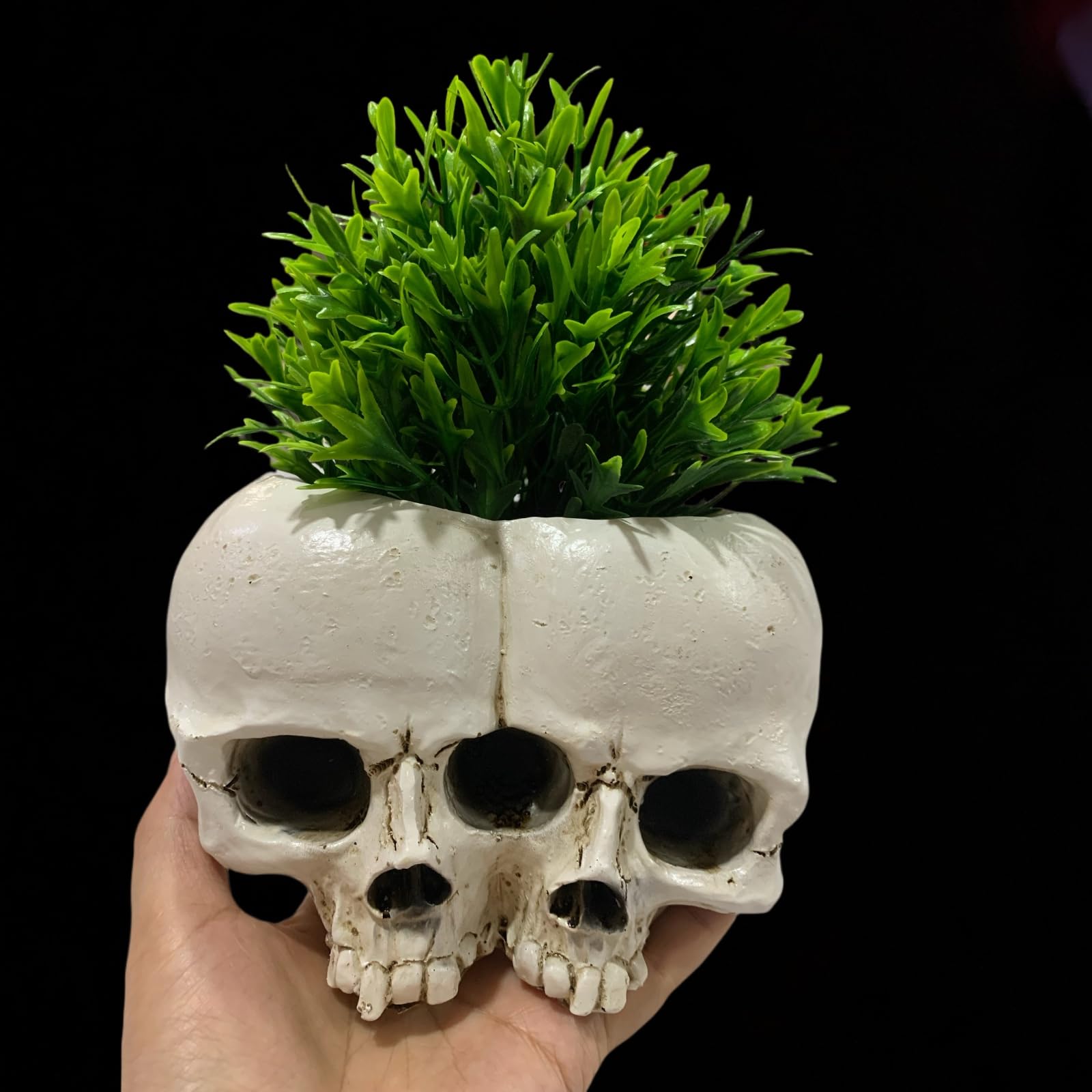 Amazon.com : Double Skull Resin Planter - Gothic Style Flower Pot