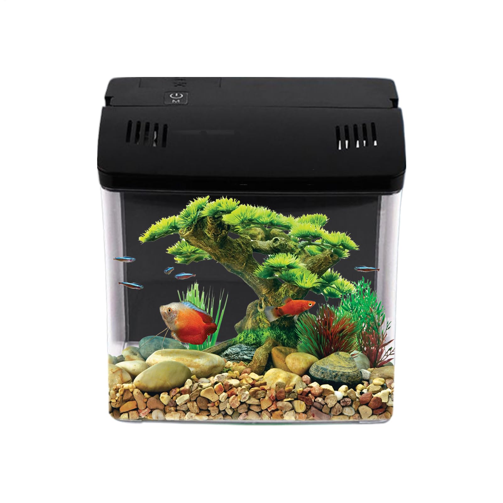 Piccola Vasca per Pesci Pet Pets Forniture Reef Arredamento Casa | Piccoli Acquari Pesci Betta Per Rana Medusa Gamberetto Soggiorno Desktop Tavolo Uffici Domestici Decorazione