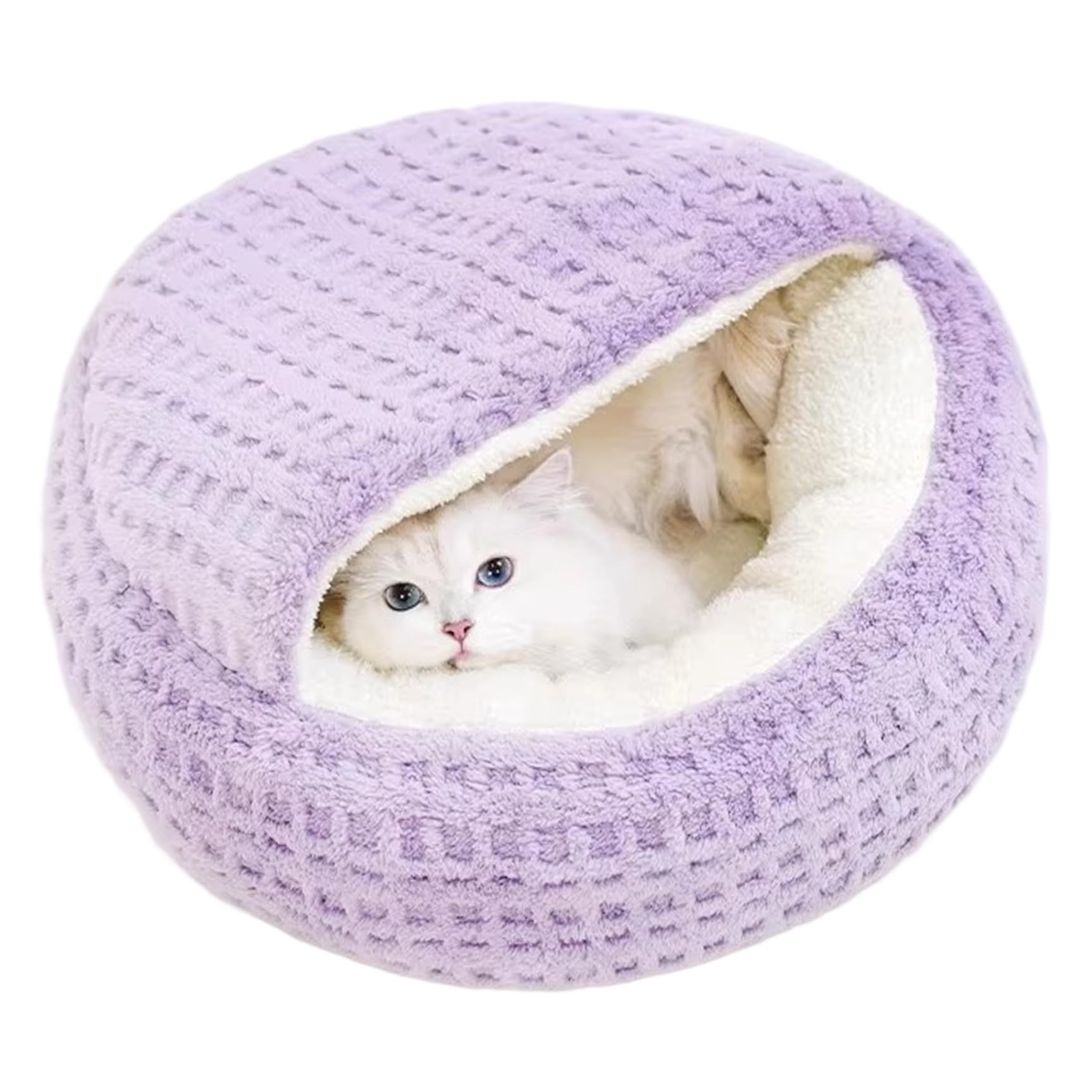 Lit fermé pour chat d'intérieur lavable et maison de couchage chaton