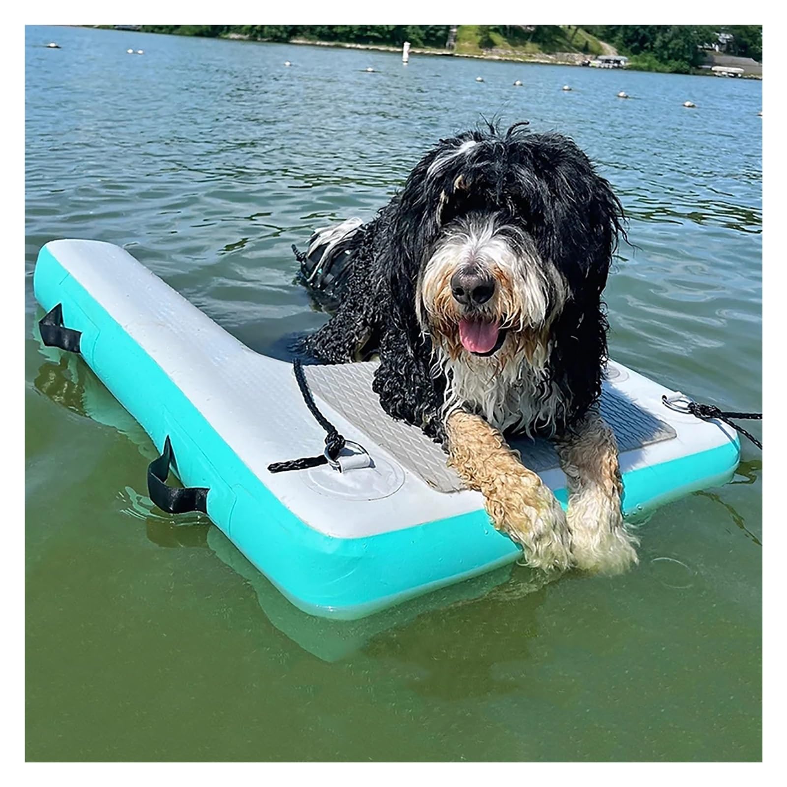 rampa de Agua para Perros Rampa Flotante para Perros, Escalera Inflable de fácil Acceso con Espuma EVA Antideslizante, para Perros pequeños, medianos y Grandes.(Green)