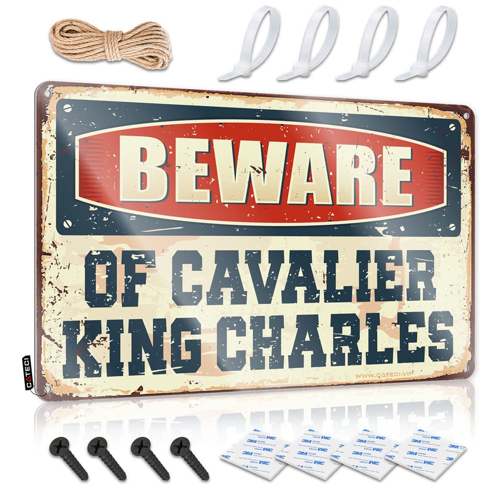 Funny Decor for Bar Beware of Cavalier King Charles Sign Bar Signs for Home Funny Outdoor Signs (Size : 20X30CM)