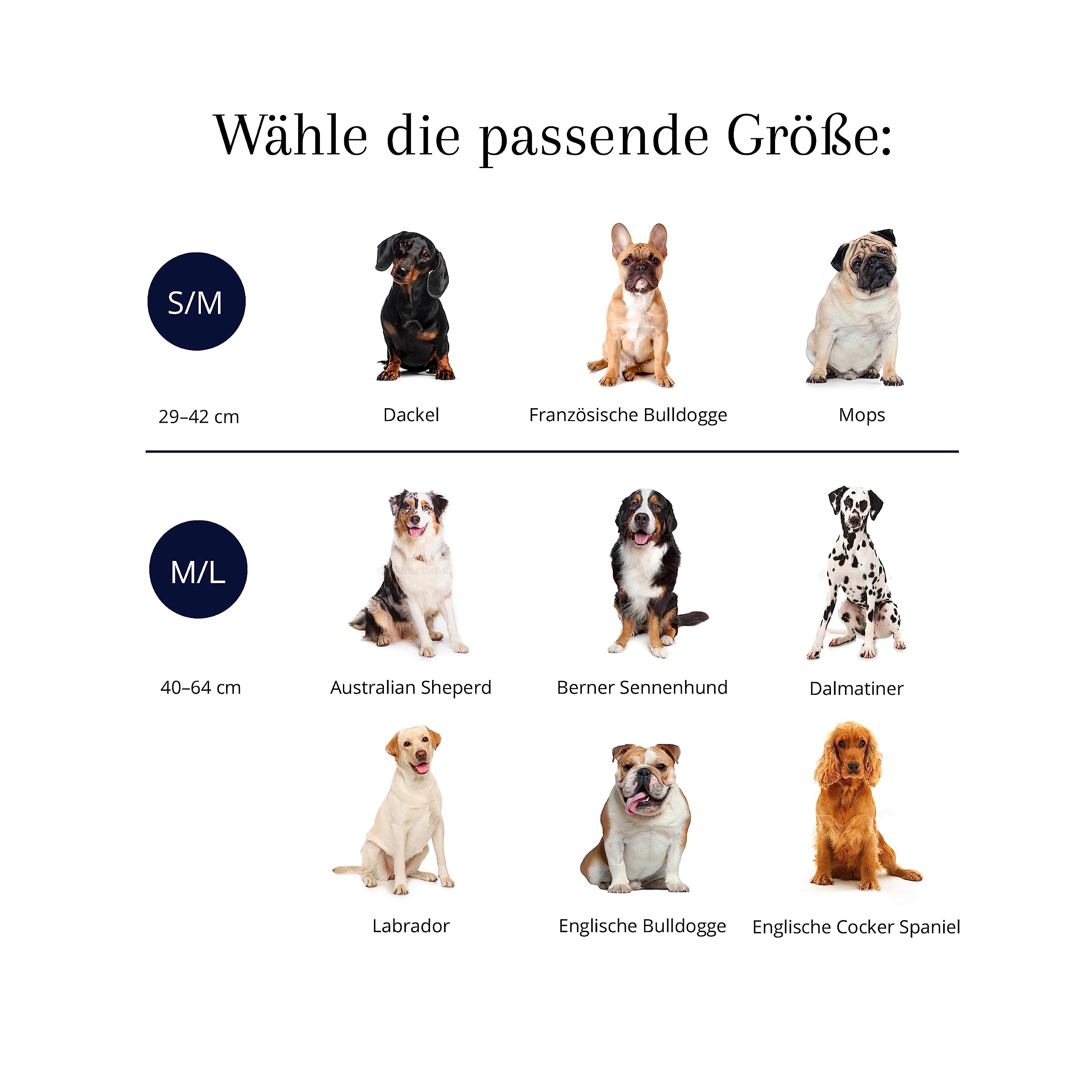 Rose | Collare per cani in set con guinzaglio e dispenser di sacchetti, in pelle vegana, collari per cani, guinzaglio per cani | 2 m, guinzaglio per cani con collare (M/L: 39-59 cm)