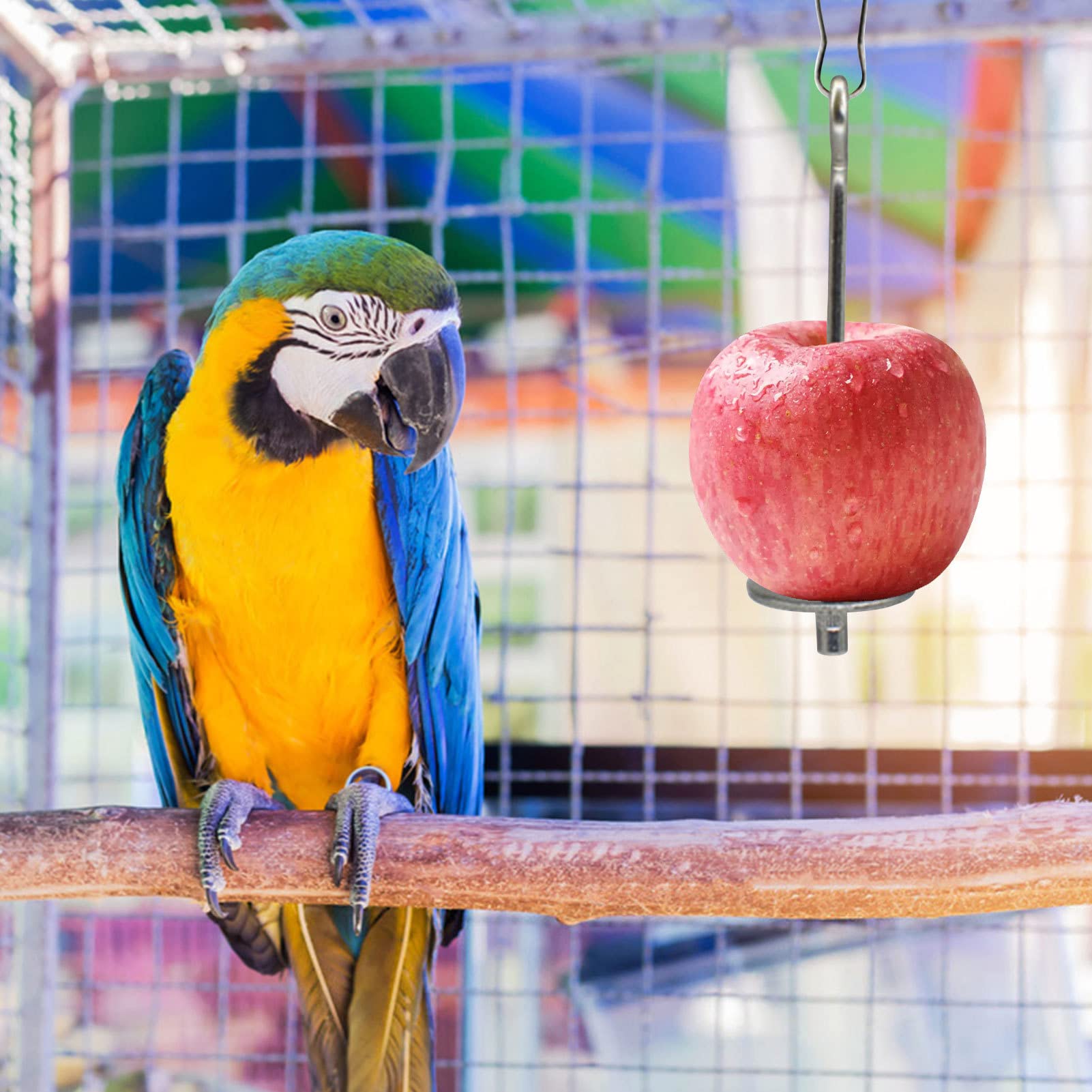 Edelstahl Vogel-Futternapf Set Mit Hirsehalter – Fütterungsspender Für Sittiche & Papageien