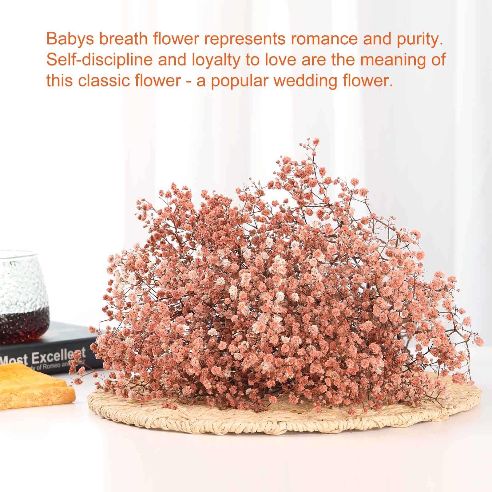 Trockenblumen-Blumenstrauß, 43,2 cm, über 2500 elfenbeinfarbene Trockenblumen, natürliche Schleierkraut-Zweige für Hochzeit, Tischvase, Dekoration, DIY-Kranz, Blumen, Herbst, Erntedankfest,